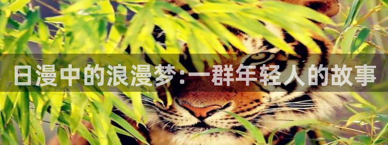 天使火狼动漫：日漫中的浪漫梦:一群年轻人的故事