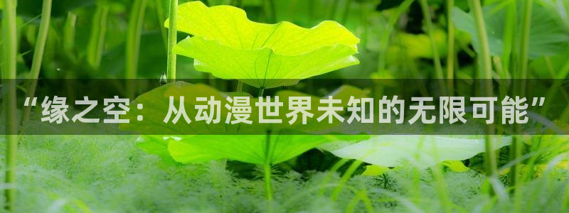 火狼动漫网：“缘之空：从动漫世界未知的无限可能”