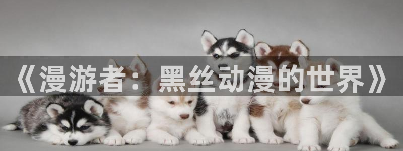 ova火狼动漫网：《漫游者：黑丝动漫的世界》