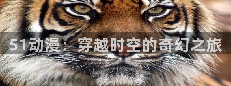 火狼动漫在线观看动漫：51动漫：穿越时空的奇幻之旅